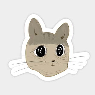 Confused cat Sticker